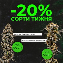 Встречай новые сорта недели с Errors Seeds! 11.08.2025